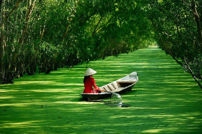 10 thang canh du lich hap dan nhat Viet Nam hinh anh 15 8. Đồng bằng sông Cửu Long. Là một bộ phận của châu thổ sông MeKong, còn được gọi là đồng bằng Nam Bộ hoặc miền Tây Nam Bộ, tổng diện tích là 40.548,2 km vuông. Do có bờ biển dài và sông Mê Kông chia thành nhiều nhánh sông, kênh rạch, cù lao, đảo và quần đảo lớn nhỏ thích hợp cho loại hình du lịch sinh thái, trải nghiệm và khám phá.