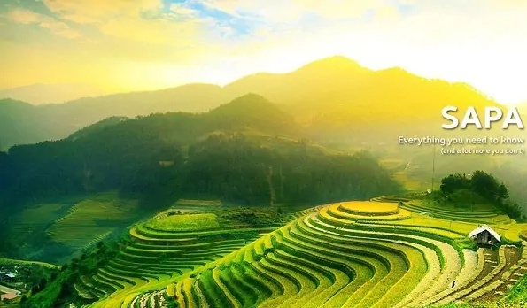 Hình ảnh tour